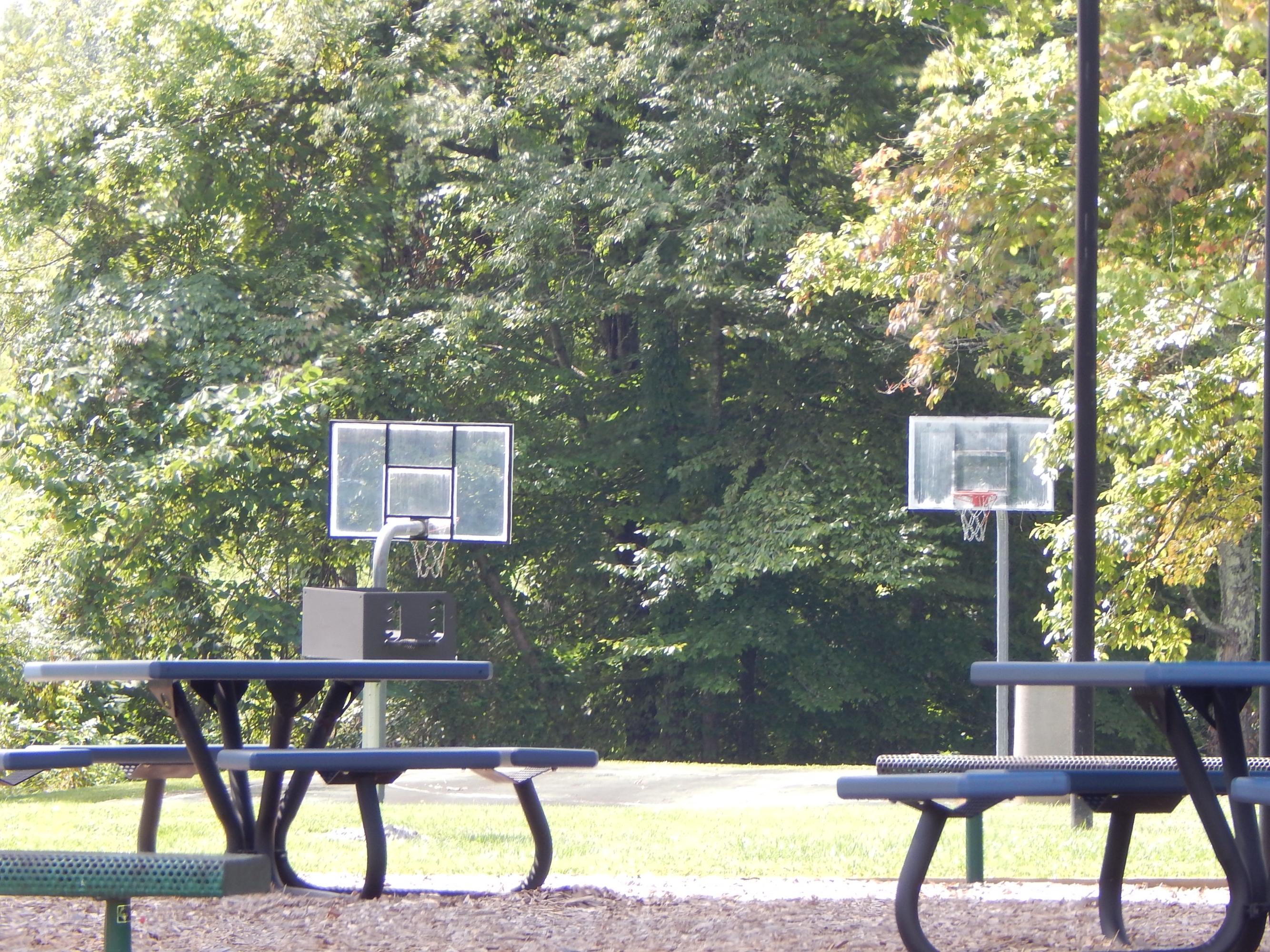 Tortiose Shell New Tazewell, TN 37825 - Photo 6 of 8 DSCN1001