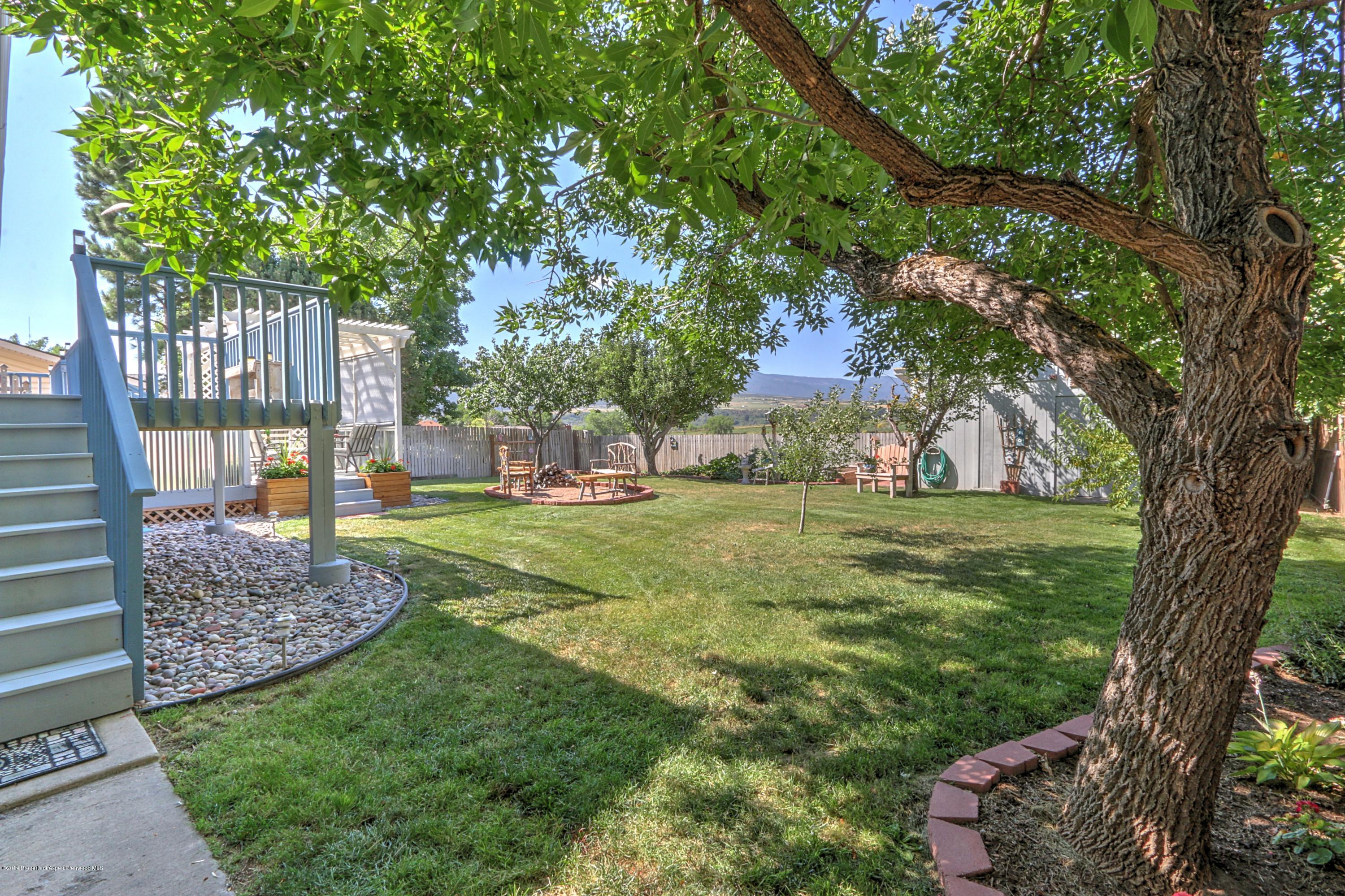 681 Mesa Avenue Rifle, CO 81650 - Photo 24 of 28 backyard trees