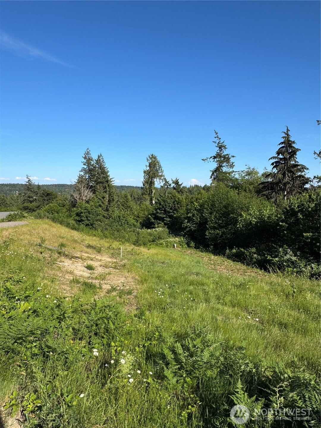 0 East Russet Ridge Road Grapeview, WA 98546 - Photo 4 of 5