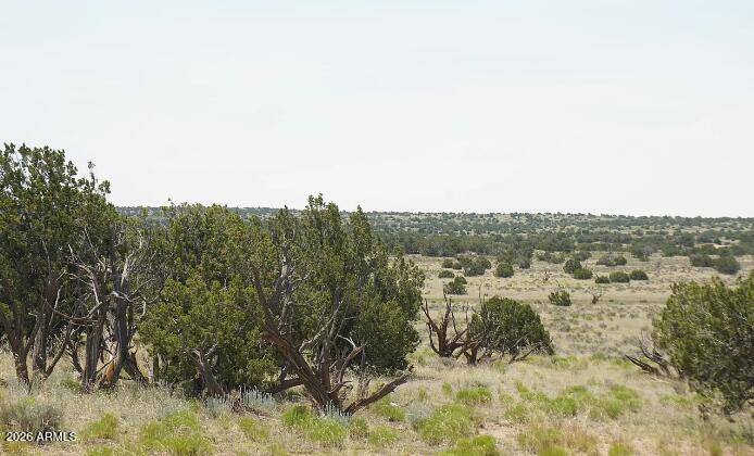 234 County Road St. Johns, AZ 85936 - Photo 11 of 13 234 County Rd N6371