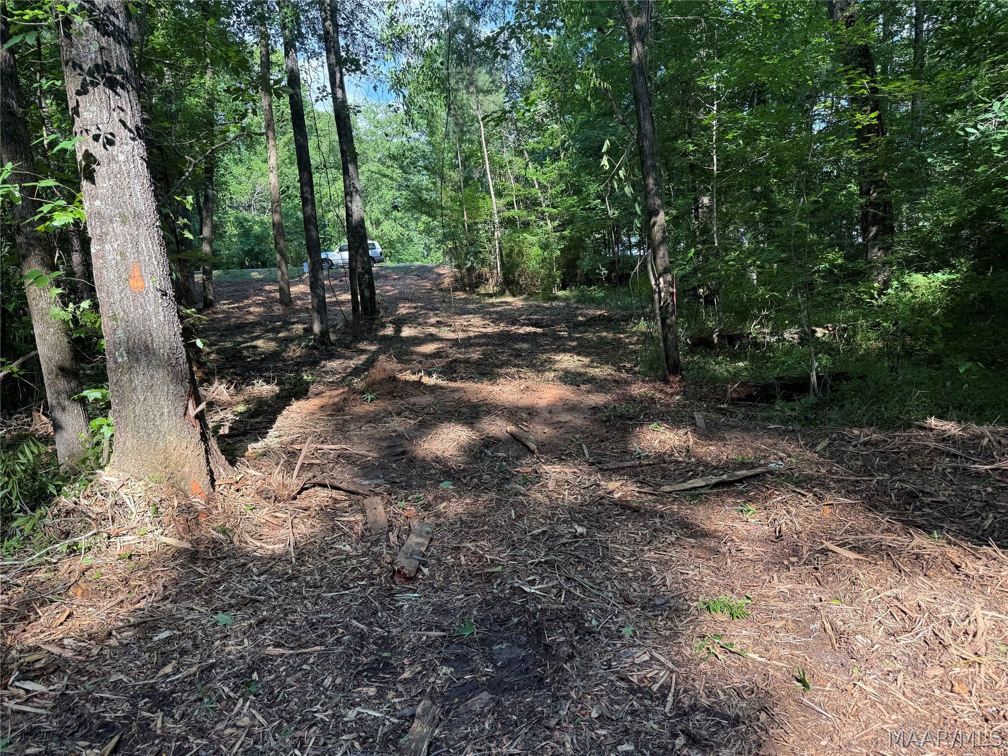2350 Spigener Road Titus, AL 36080 - Photo 5 of 5 Gallery Image 5