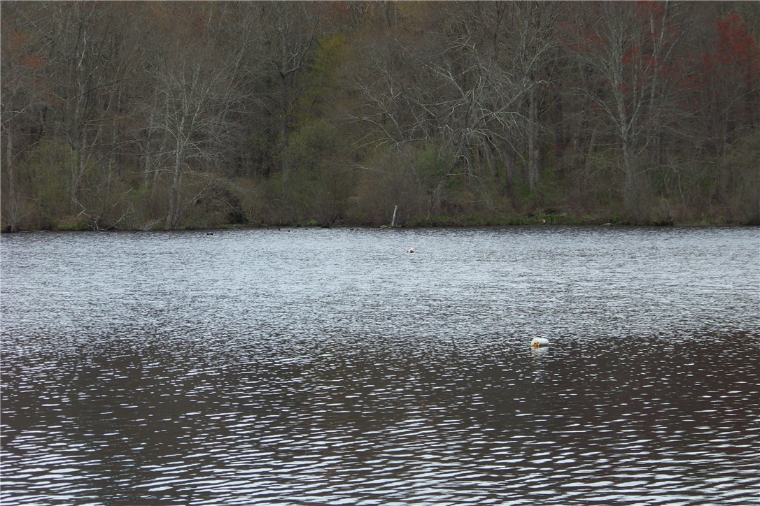 6 Cucumber Hill Road Foster, RI 02825 - Photo 8 of 17