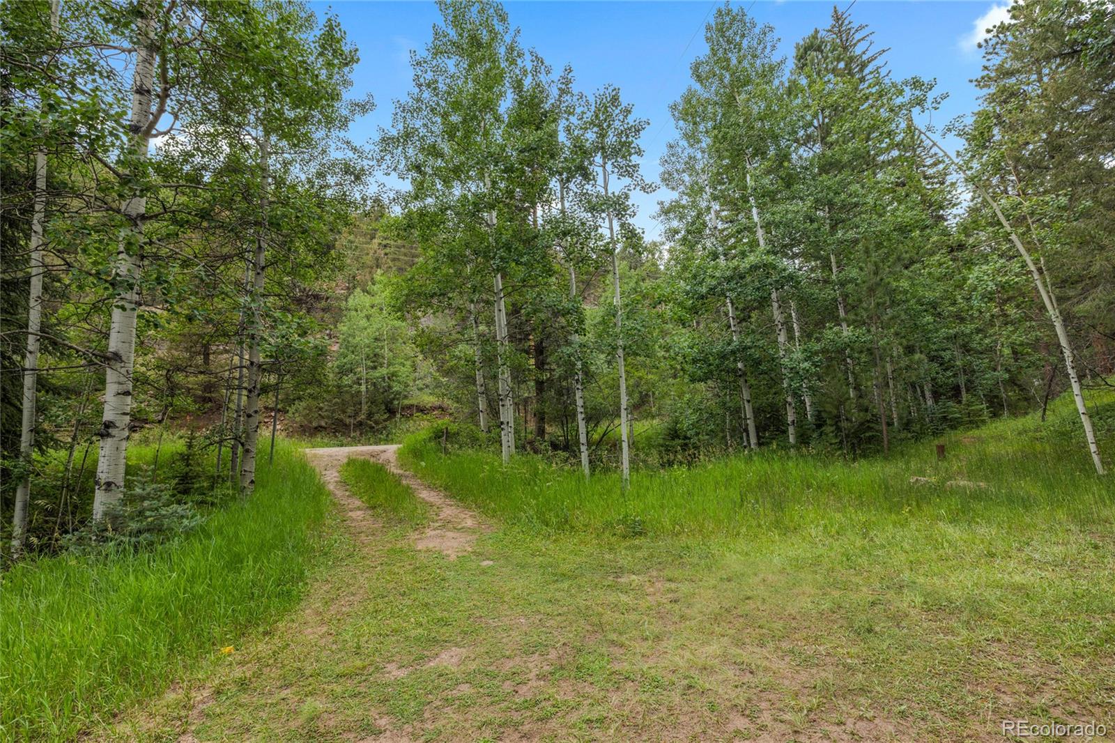 1242 Roland Drive Bailey, CO 80421 - Photo 31 of 33 Gallery Image 31