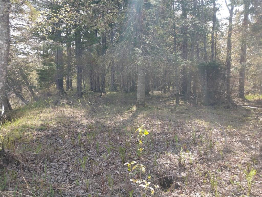 Off Off Mooseberry Road Wytopitlock, ME 04497 - Photo 23 of 26 Photo
