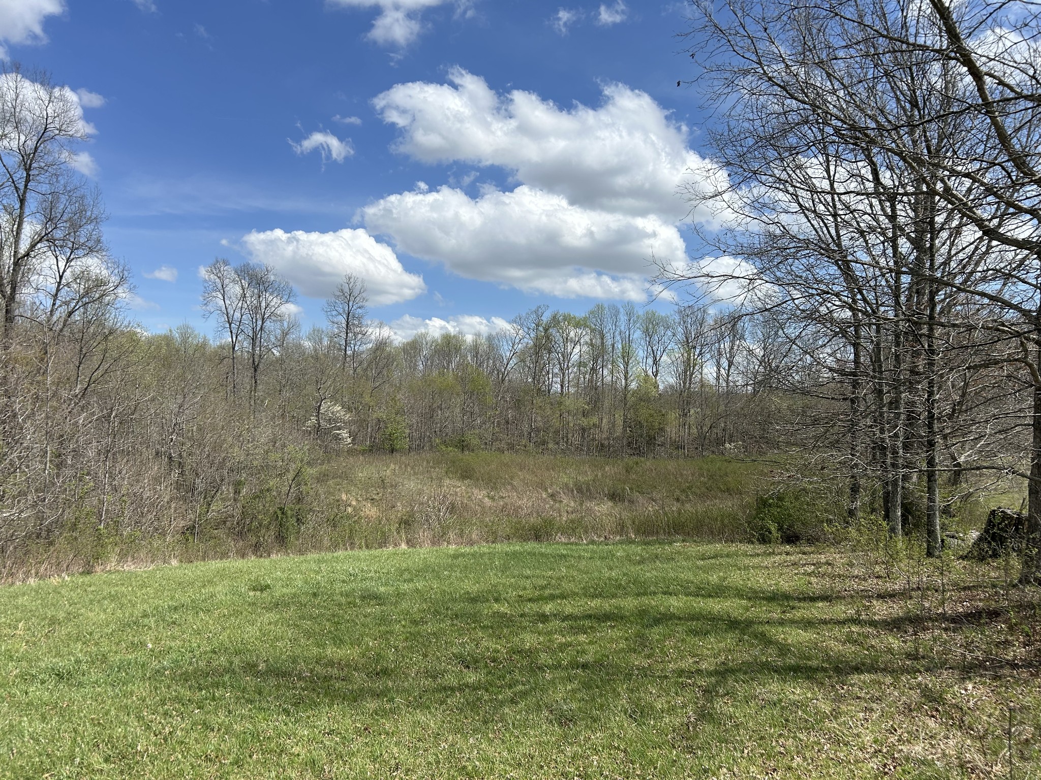 12343 Griffith Road Pikeville, TN 37367 - Photo 17 of 40