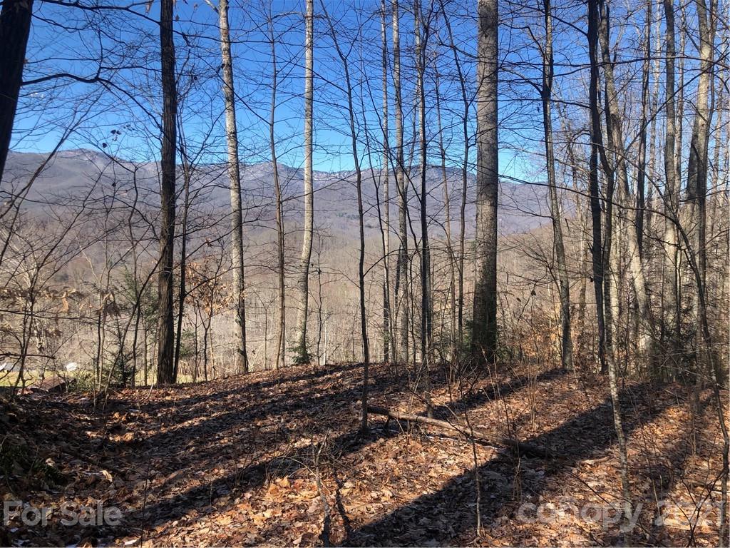 0 Lick Log Road Sylva, NC 28779 - Photo 2 of 8 a view of a backyard