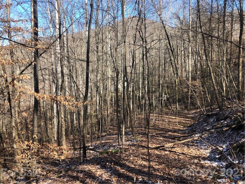 0 Lick Log Road Sylva, NC 28779 - Photo 5 of 8 a view of house with yard