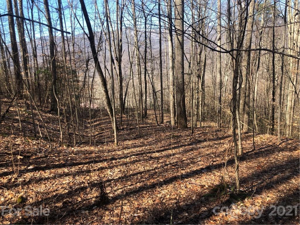 0 Lick Log Road Sylva, NC 28779 - Photo 6 of 8 a backyard of a house with lots of green space