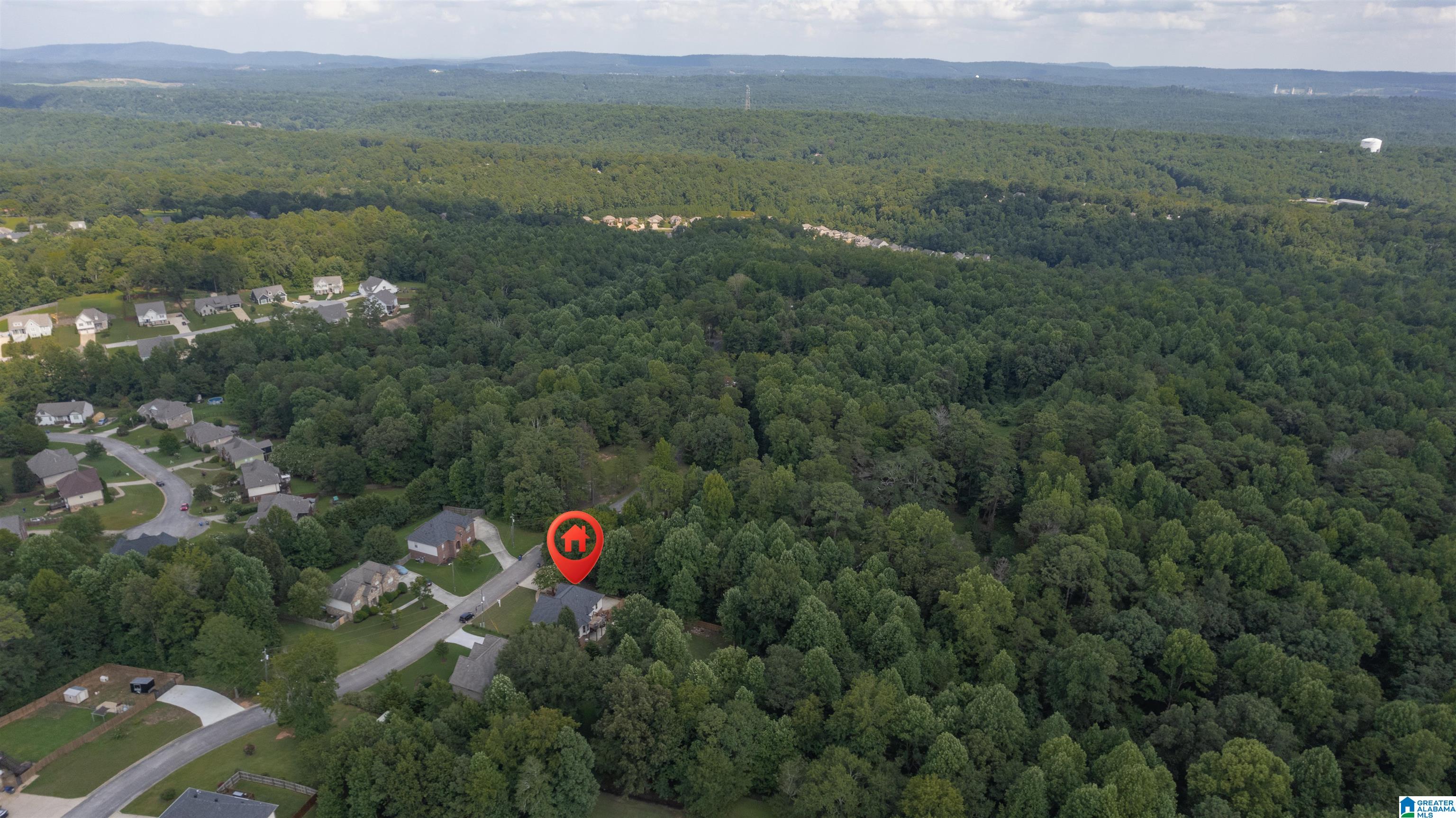 3484 Cooks Moore Road Trussville, AL 35173 - Photo 52 of 54