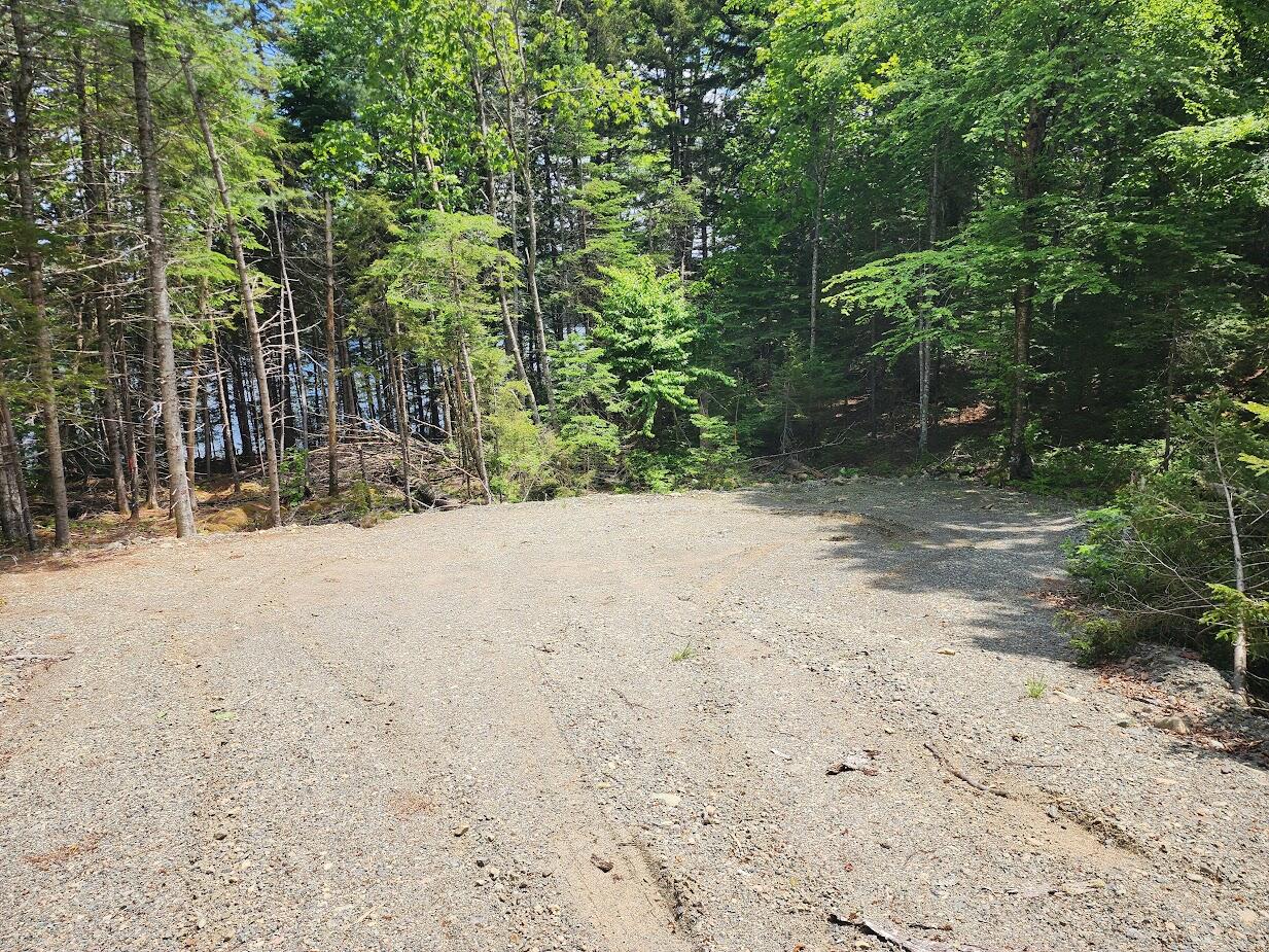 Lot A Lot A Deer Point Road Robbinston, ME 04671 - Photo 4 of 18 20250611_120529