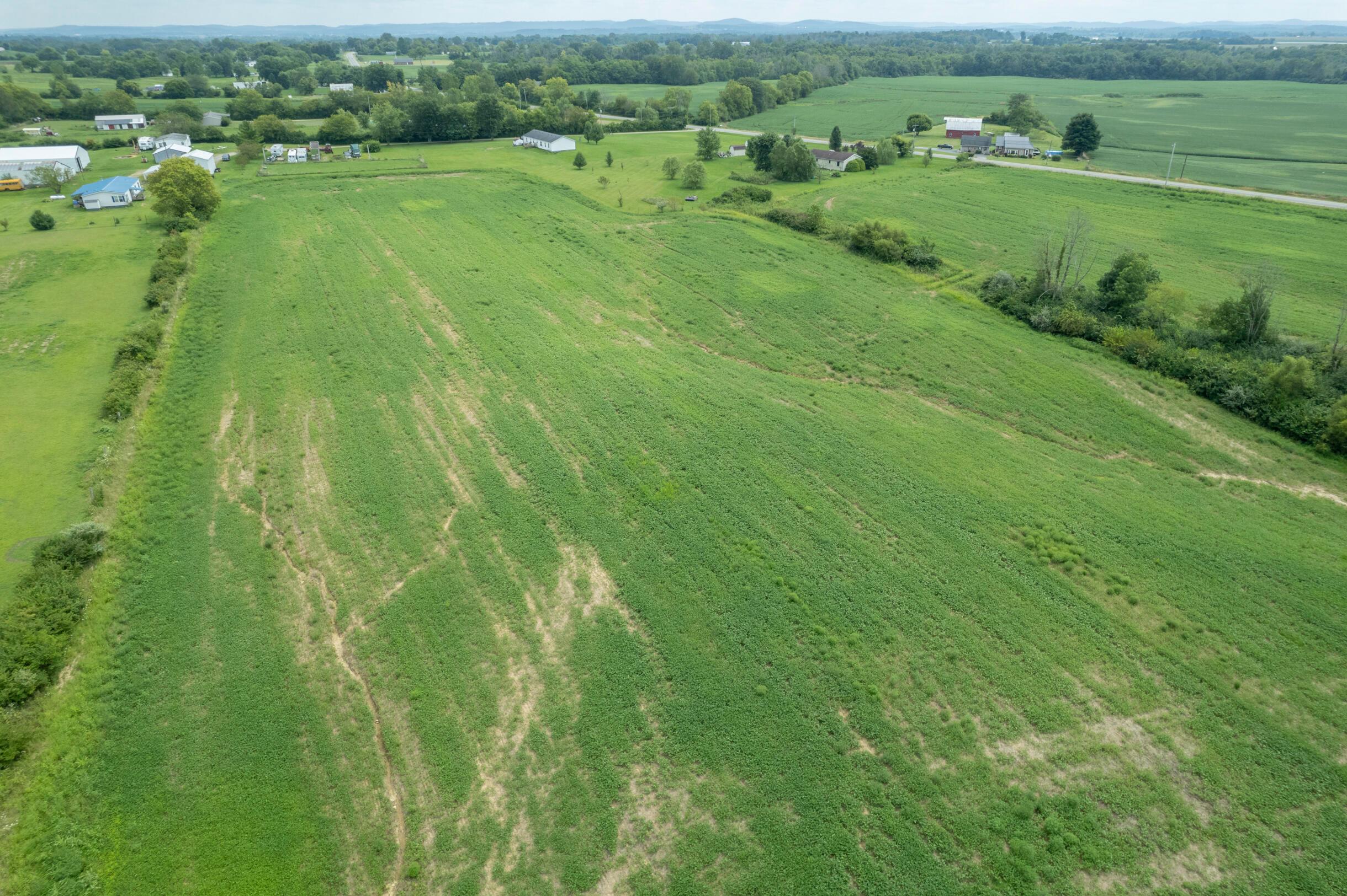 12560 Miami Trace Road Greenfield, OH 45123 - Photo 8 of 11 12560MiamiTraceRd-40Ac-8