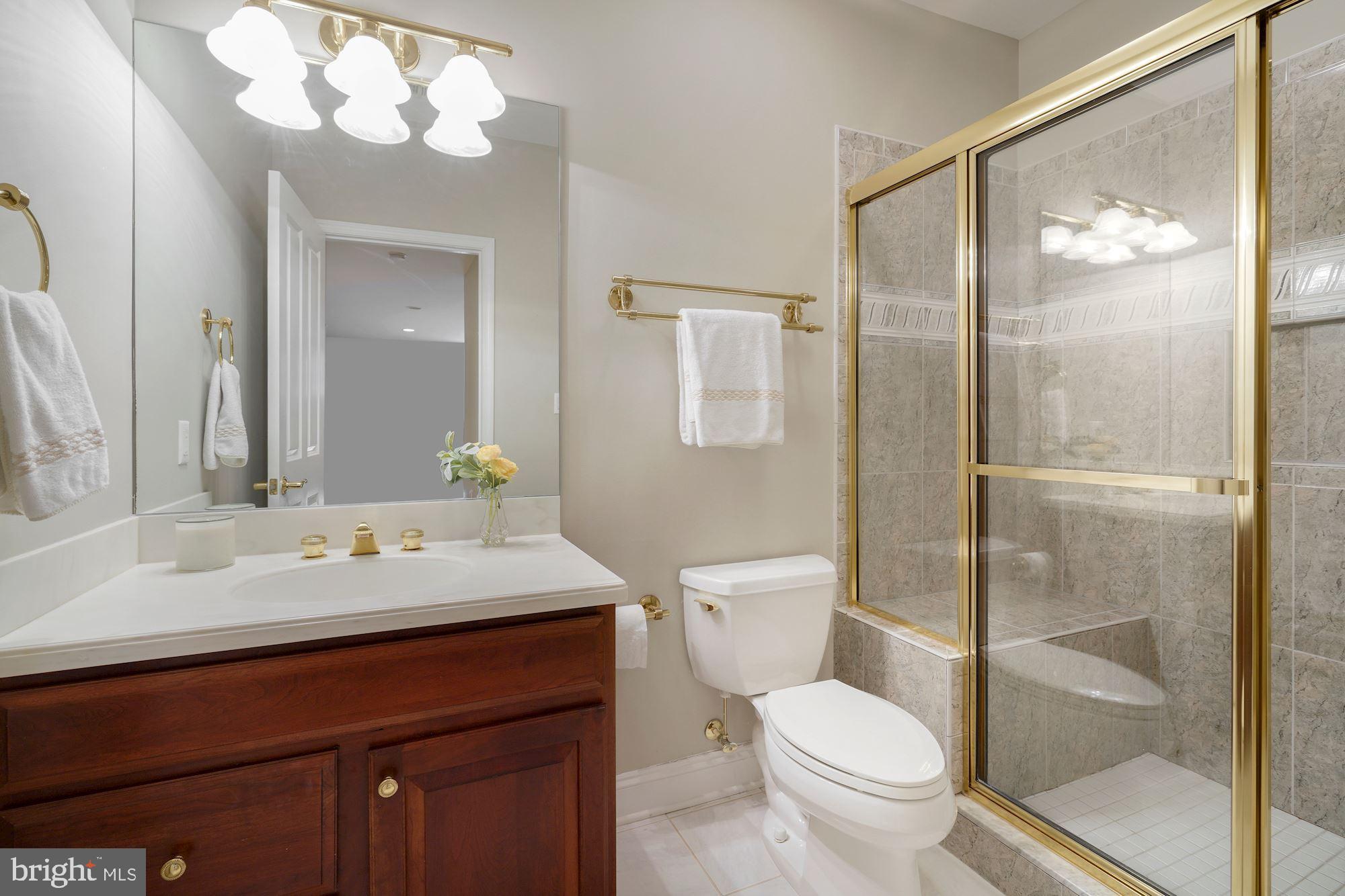 5910 Bradley Boulevard Bethesda, MD 20814 - Photo 28 of 42 Lower level full bath