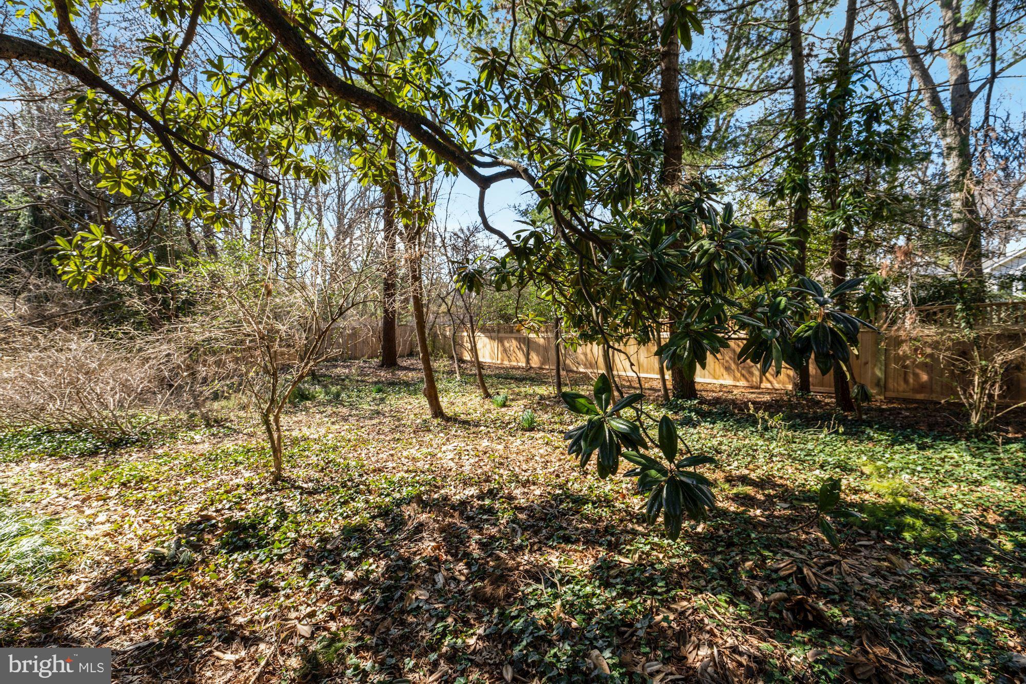 5910 Bradley Boulevard Bethesda, MD 20814 - Photo 39 of 42 Huge lot!