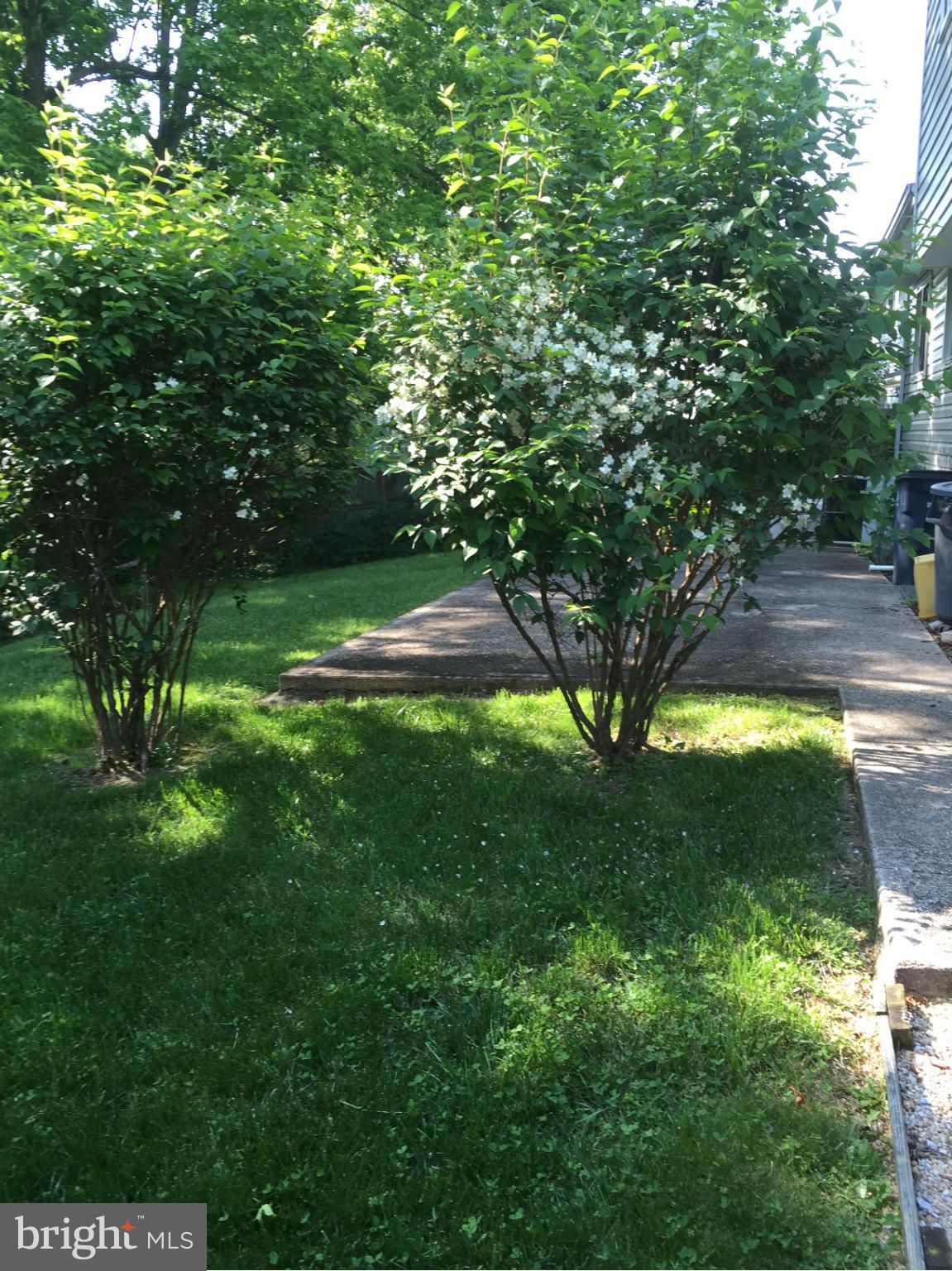 7705 Bock Road Fort Washington, MD 20744 - Photo 22 of 23 a view of yard with green space