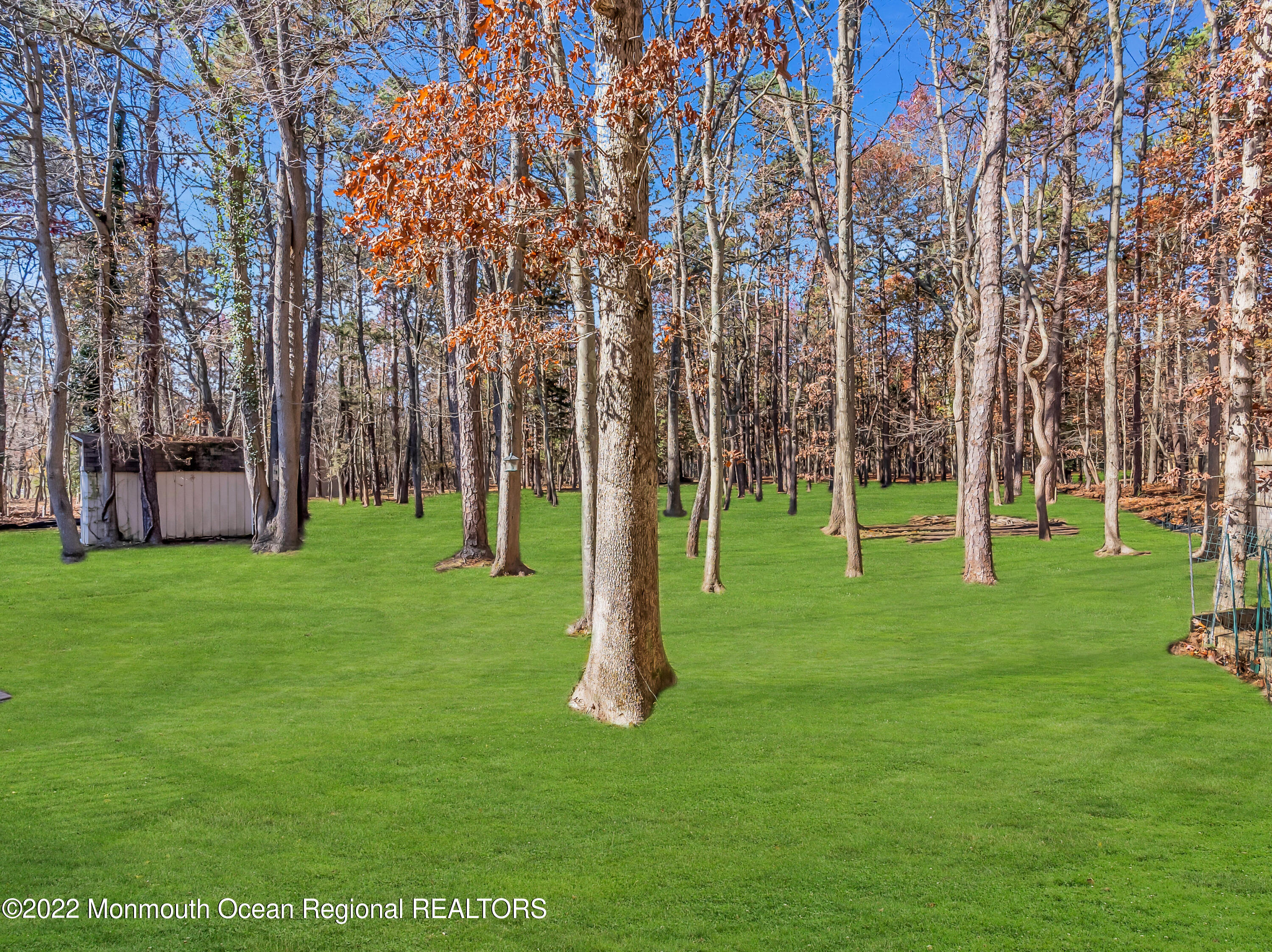 6 Pitney Lane Jackson, NJ 08527 - Photo 51 of 55 090_mjb08184-1