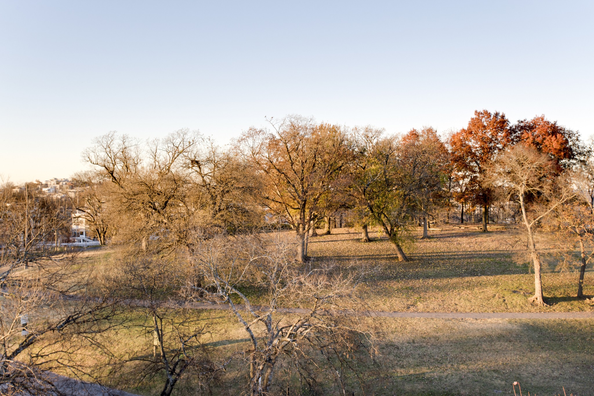 3127 Parthenon Avenue Nashville, TN 37203 - Photo 27 of 30 a view of yard with trees
