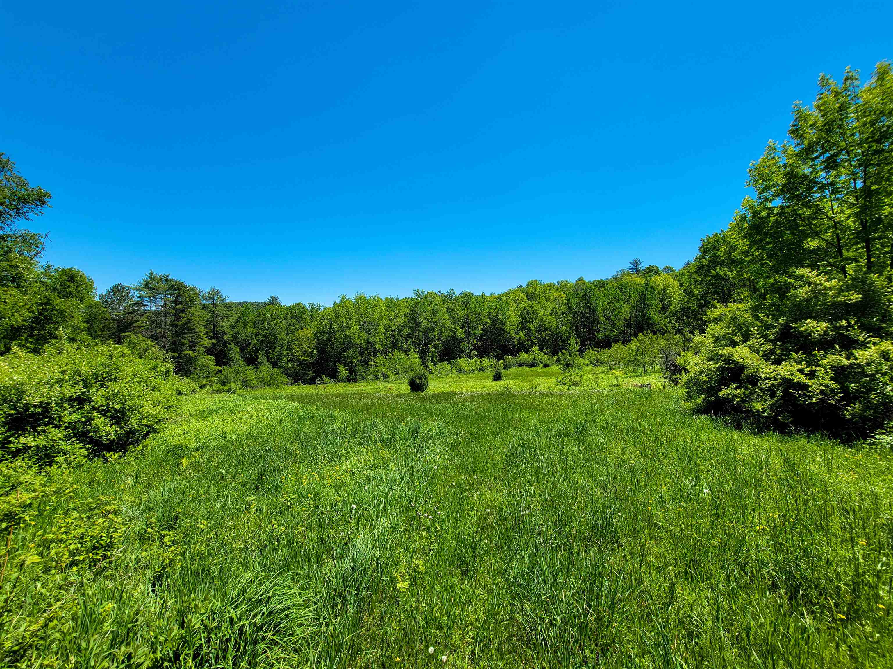 310 Sky Farm Lane Barnet, VT 05821 - Photo 32 of 59