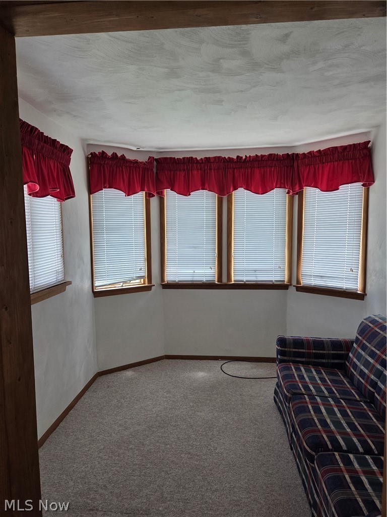636 Lincoln Street Struthers, OH 44471 - Photo 19 of 26 Off of bedroom 2