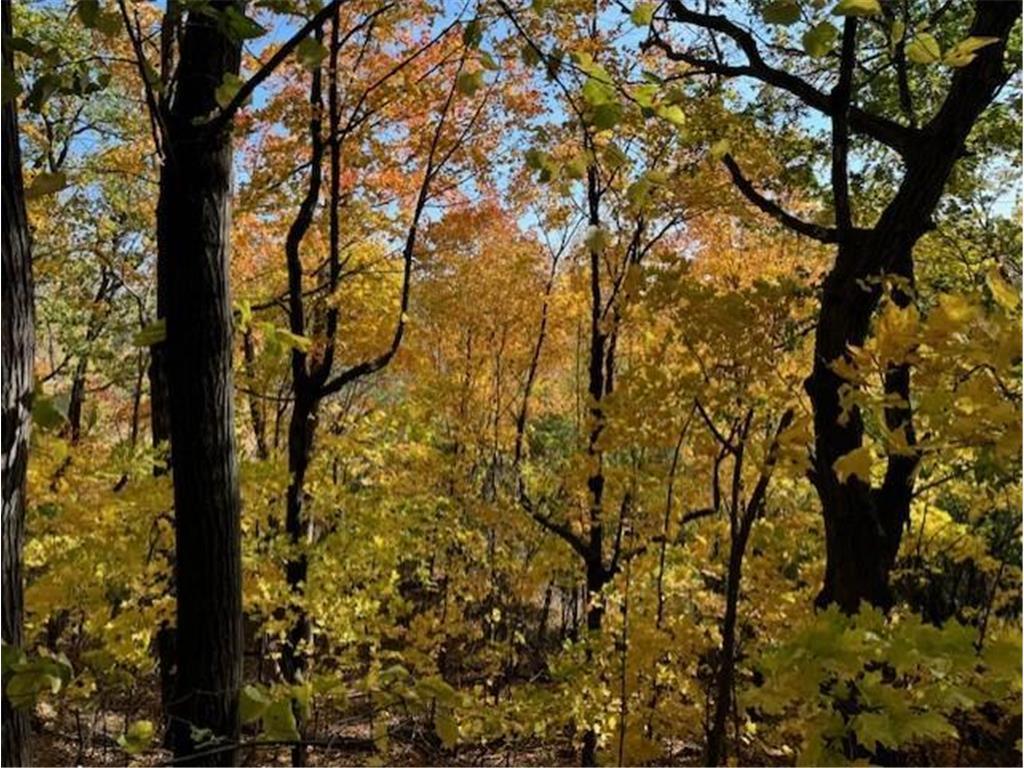 5123 Waterbury Road Mound, MN 55364 - Photo 21 of 21