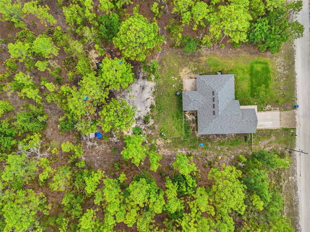 18336 Macek Road Weeki Wachee, FL 34614 - Photo 47 of 49