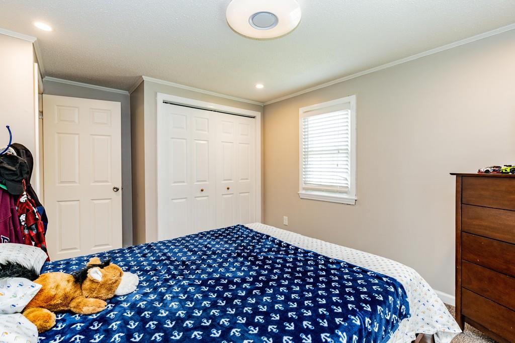 36 Deepfield Road Springfield, MA 01118 - Photo 21 of 31 Gallery Image 21