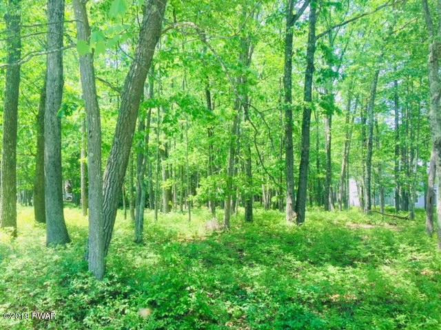 Lot 8 Prompton Road Honesdale, PA 18431 - Photo 2 of 6