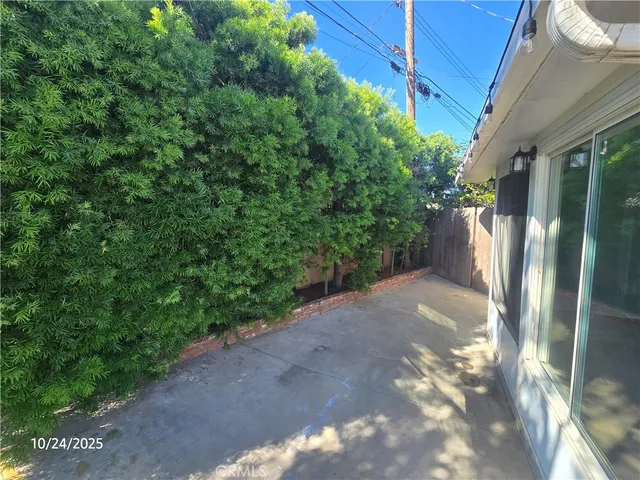 a view of a yard with plants