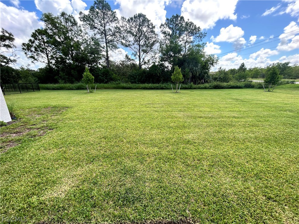 12441 Dakota Ridge Place Lehigh Acres, FL 33974 - Photo 20 of 20