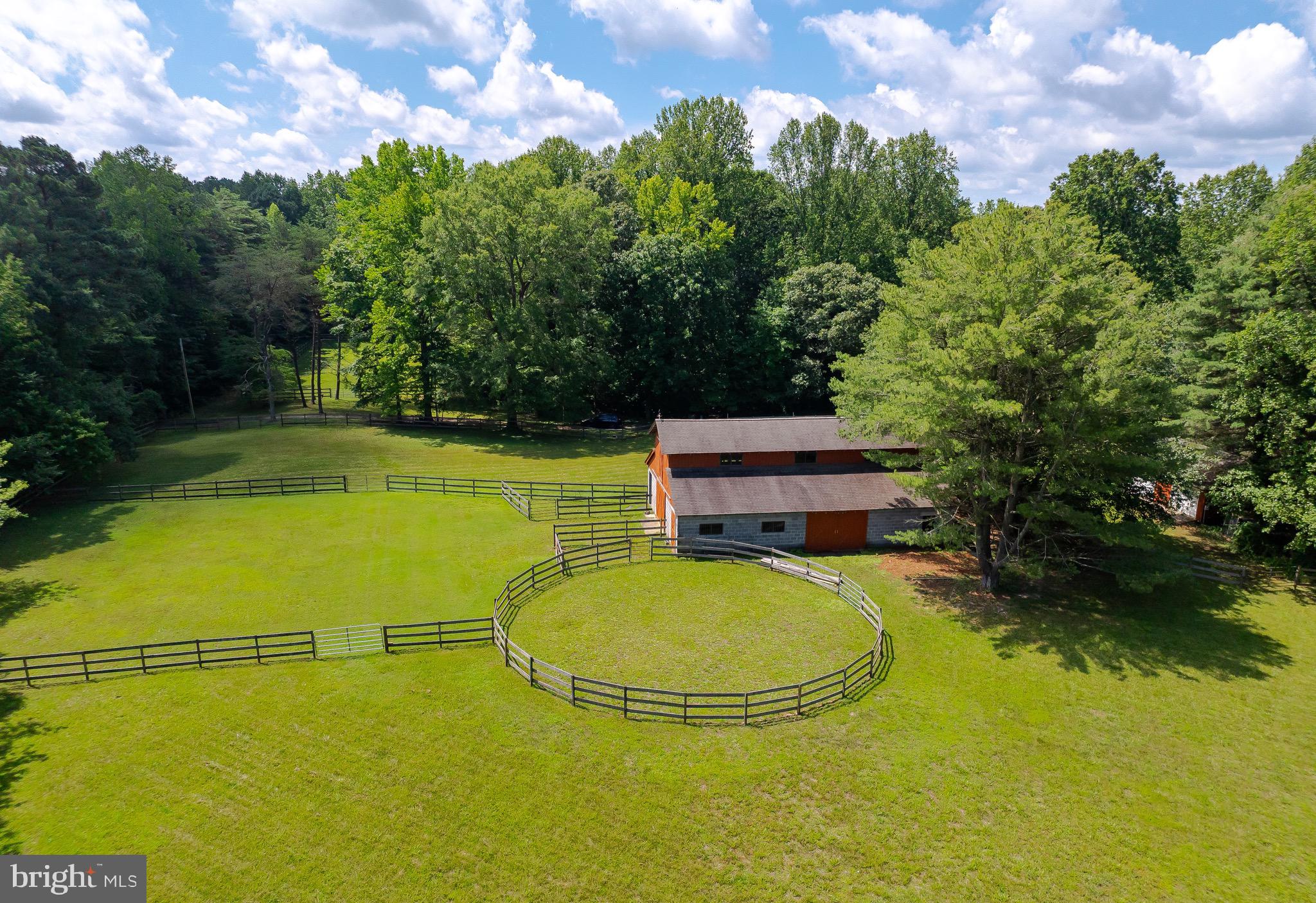 3050 Ross Road St. Leonard, MD 20685 - Photo 11 of 87 Lovely gently rolling land. Peaceful and quiet.