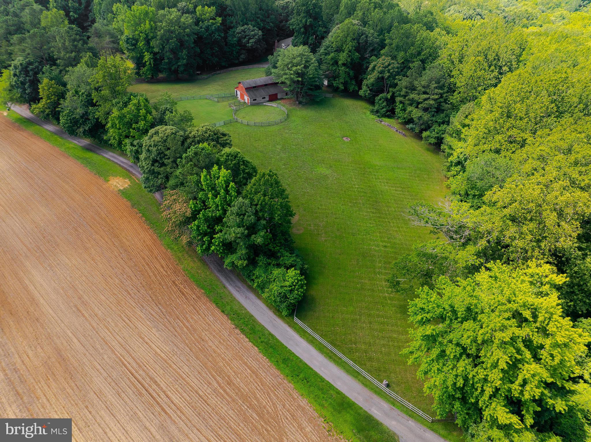 3050 Ross Road St. Leonard, MD 20685 - Photo 14 of 87 a view of a garden with a bench