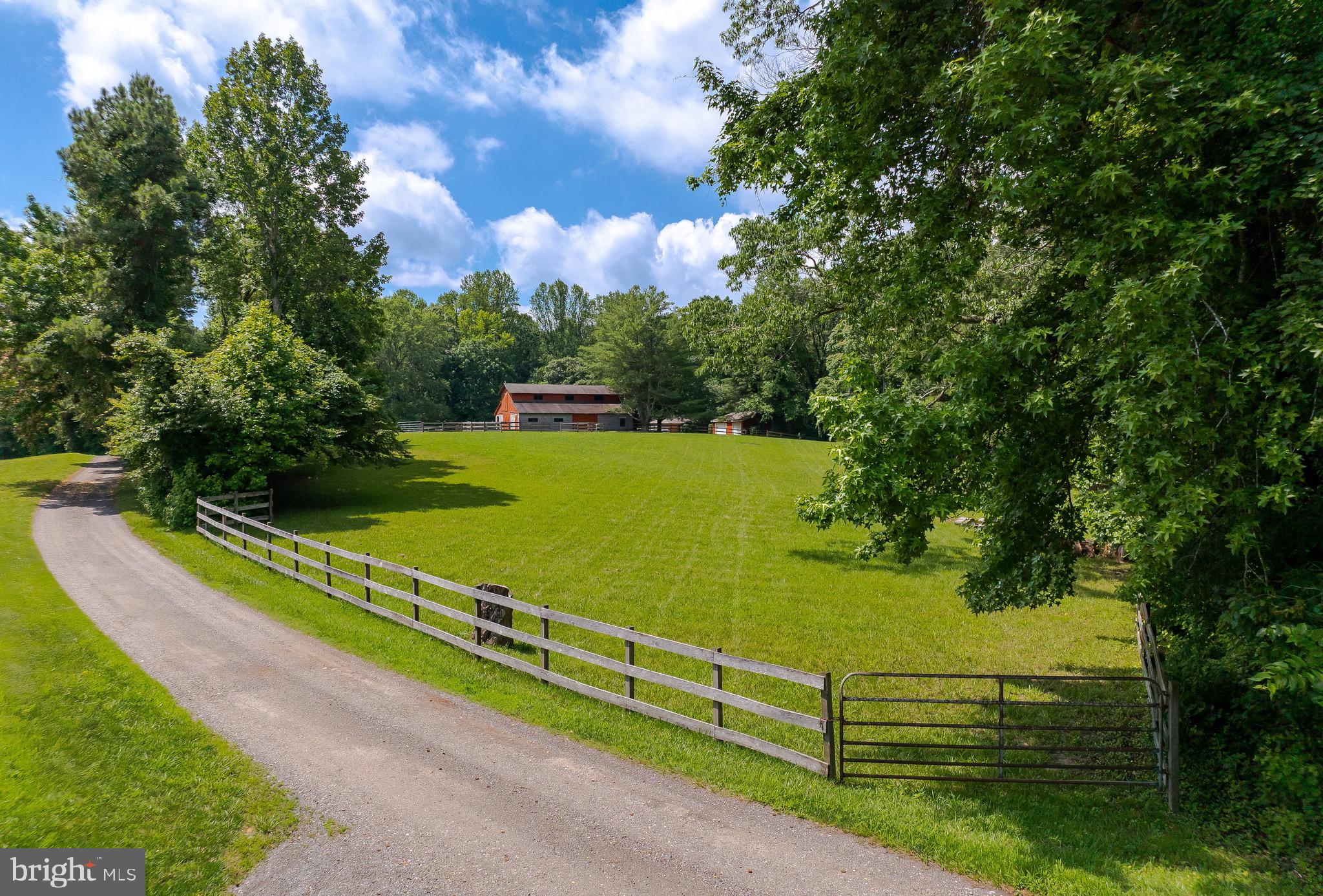3050 Ross Road St. Leonard, MD 20685 - Photo 3 of 87 a view of a park with large trees
