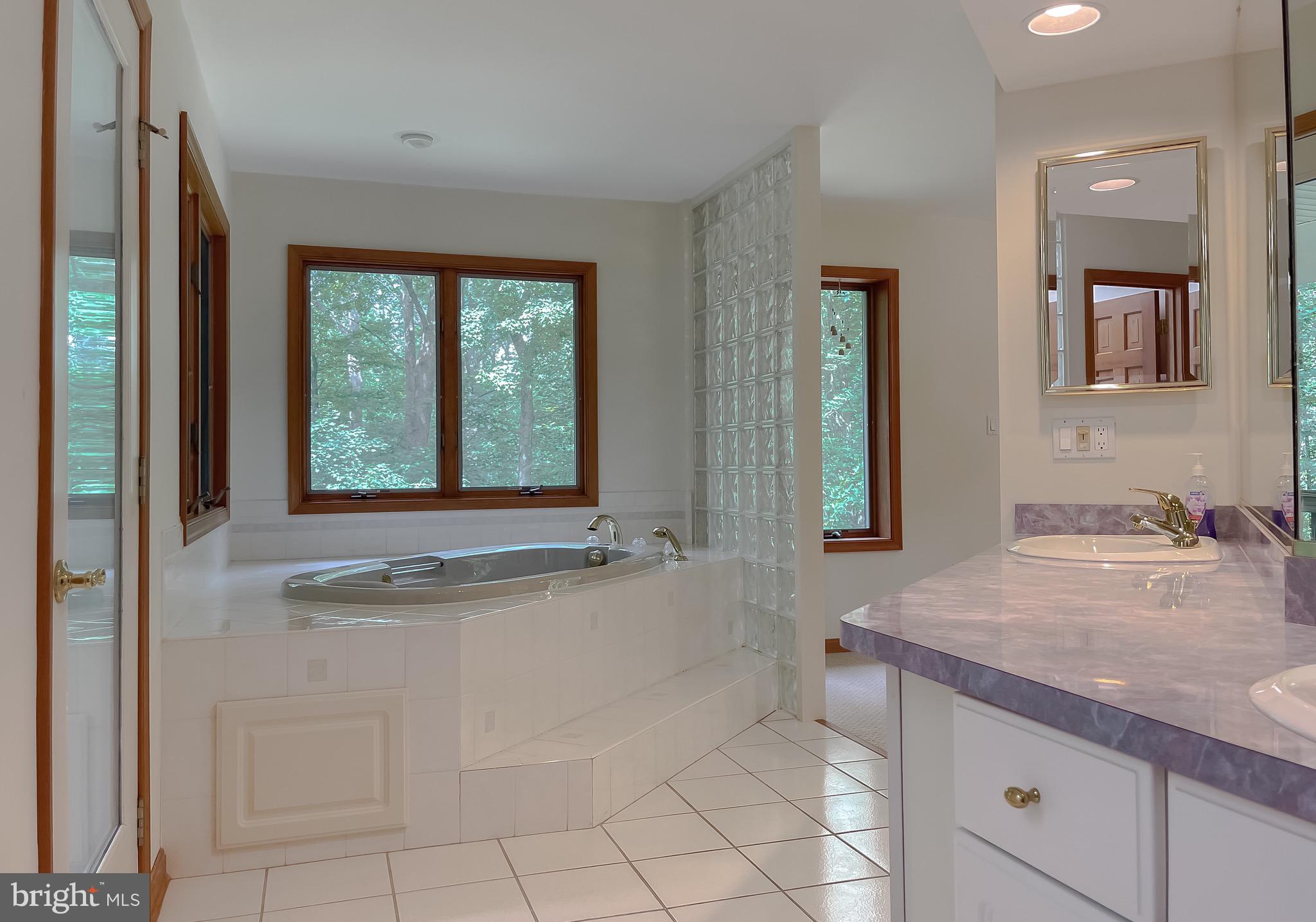 3050 Ross Road St. Leonard, MD 20685 - Photo 43 of 87 a bathroom with a granite countertop sink a mirror and a bathtub next to a window