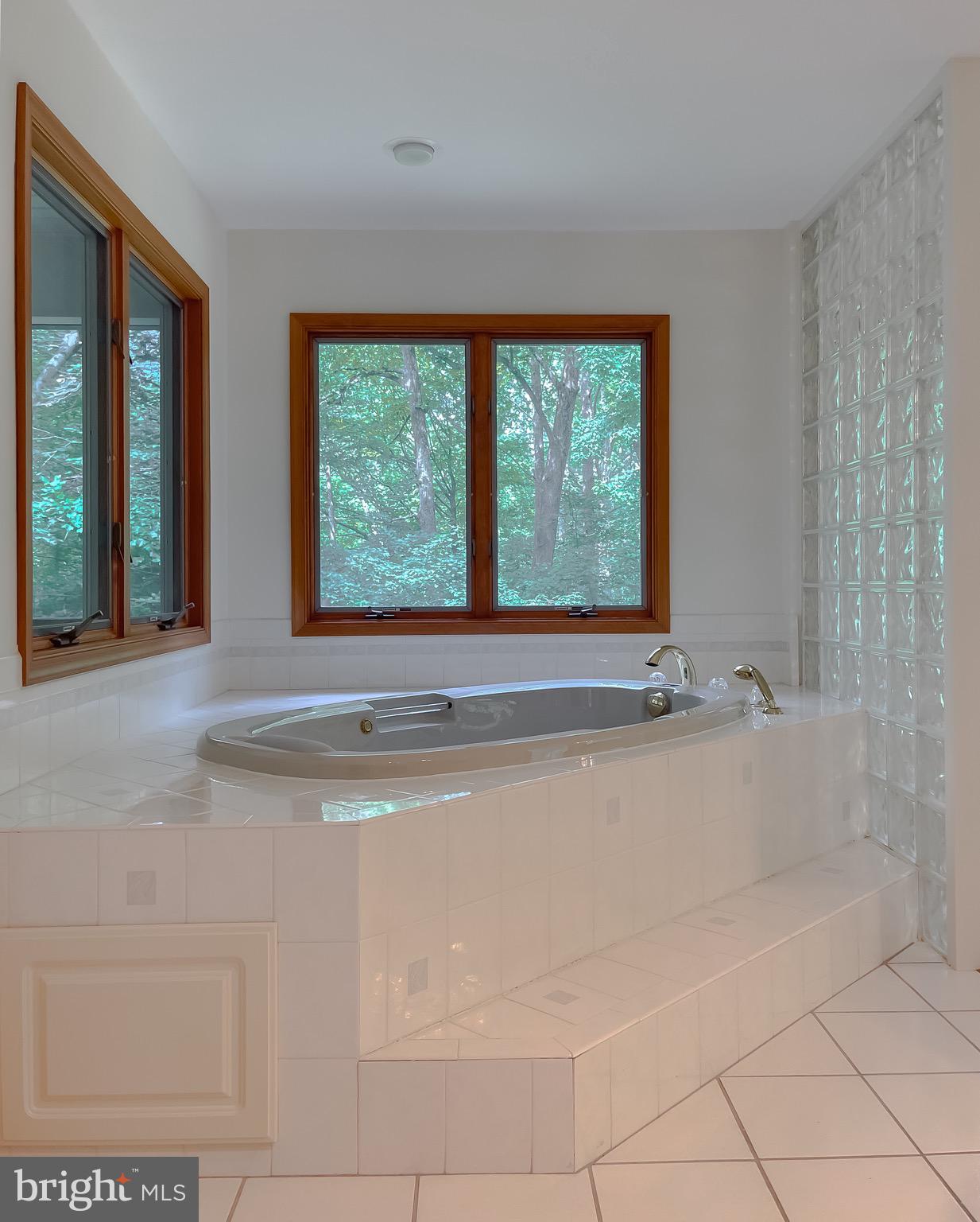 3050 Ross Road St. Leonard, MD 20685 - Photo 45 of 87 a bath tub sitting in a bathroom next to a window