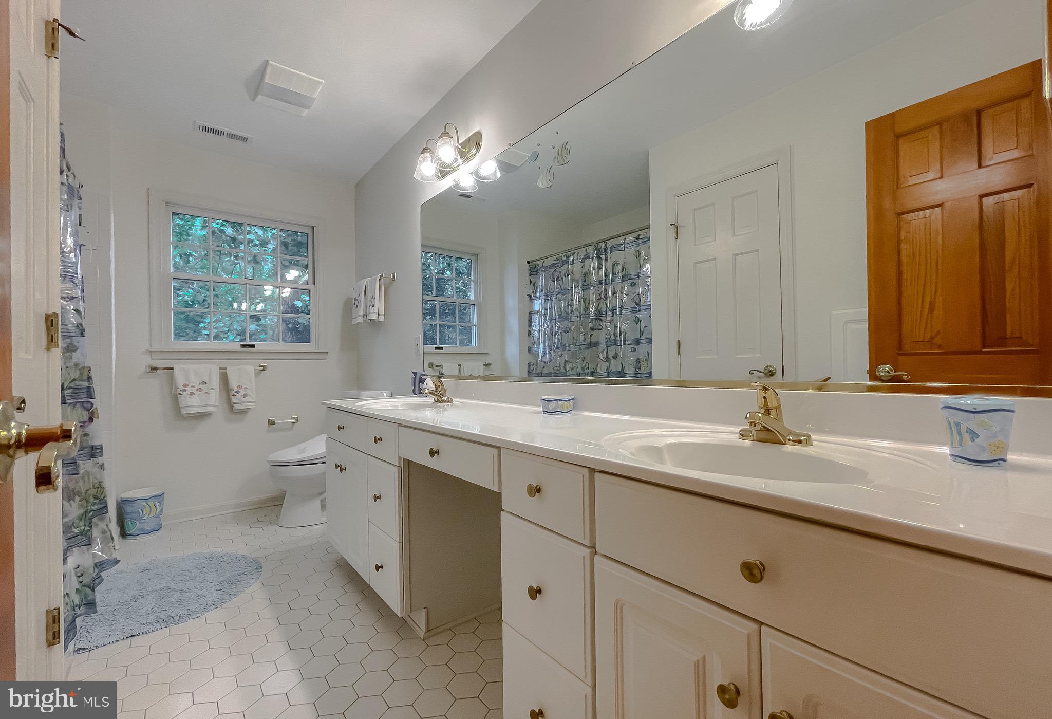 3050 Ross Road St. Leonard, MD 20685 - Photo 52 of 87 Hall bath with double sinks