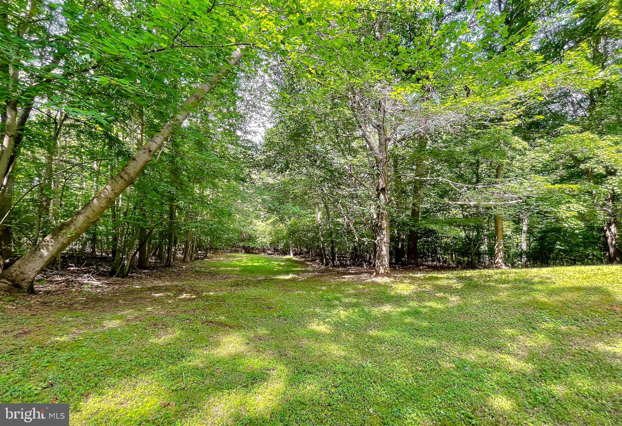 3050 Ross Road St. Leonard, MD 20685 - Photo 65 of 87