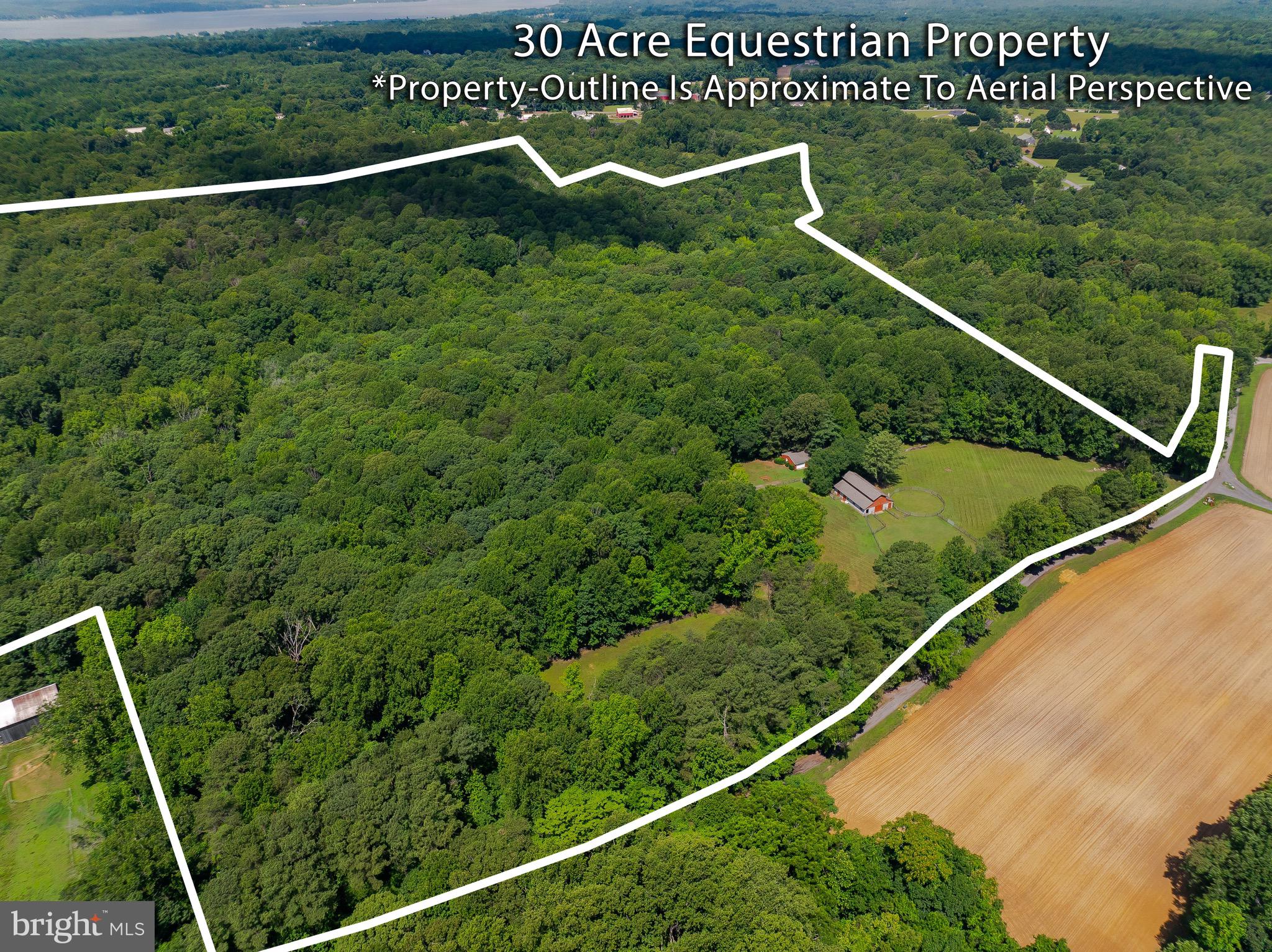 3050 Ross Road St. Leonard, MD 20685 - Photo 7 of 87 Land is in a Forest Stewardship program.