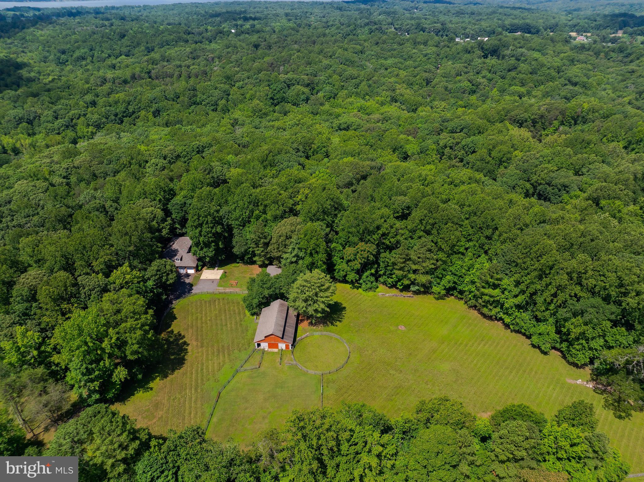 3050 Ross Road St. Leonard, MD 20685 - Photo 8 of 87 Gorgeous open land, woods and PRIVACY!!!