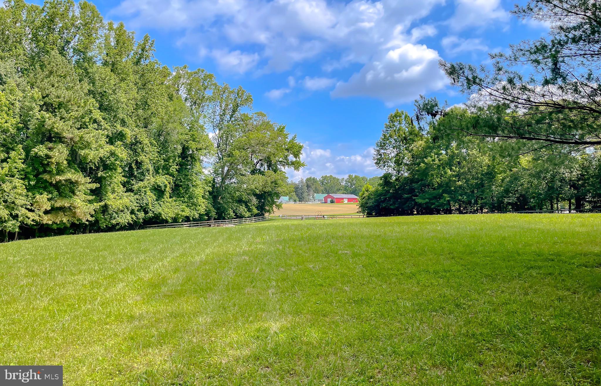 3050 Ross Road St. Leonard, MD 20685 - Photo 86 of 87 a view of a field with plants and trees