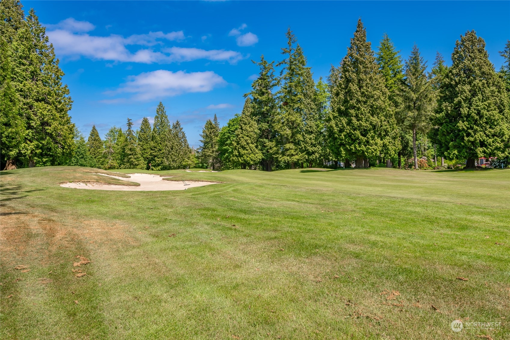 5433 Canvasback Road Blaine, WA 98230 - Photo 33 of 34 a view of a field with trees in the background