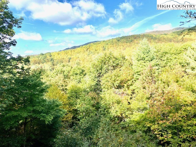 140 Settlers Ridge Road Todd, NC 28684 - Photo 29 of 38 Gallery Image 29