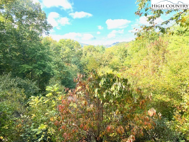 140 Settlers Ridge Road Todd, NC 28684 - Photo 3 of 38 Gallery Image 3