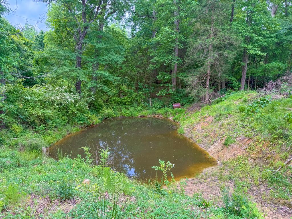 8820 Nutbush Road Green Bay, VA 23942 - Photo 66 of 70 Gallery Image 66