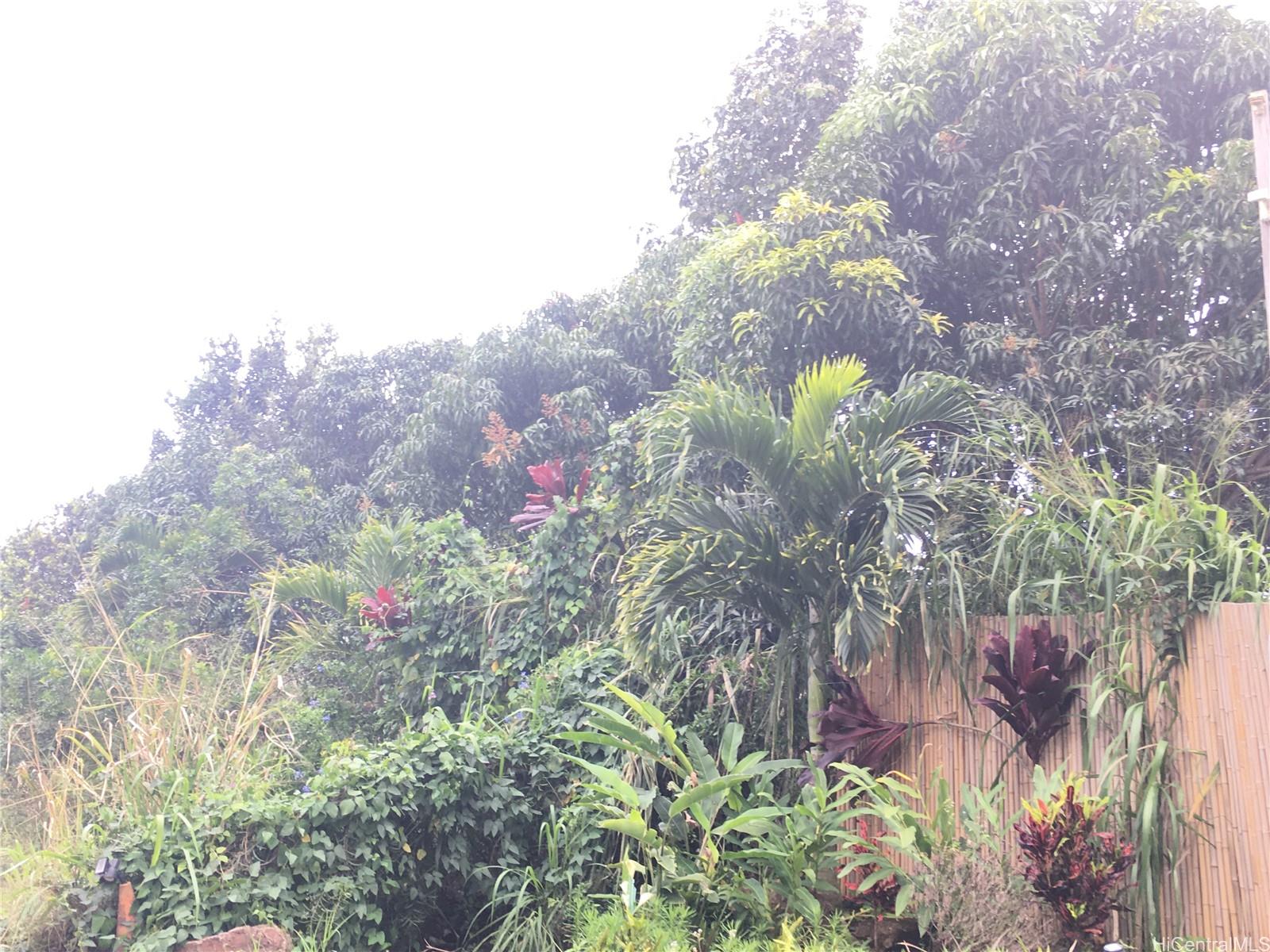 56 I Kunia Road, Unit 56I Waipahu, HI 96797 - Photo 14 of 17 LOOKING OUTSIDE DOWN THE ACRE FRONTAGE