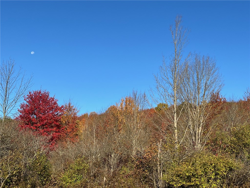 98 Nys Route Franklinville, NY 14737 - Photo 41 of 49 Gallery Image 41