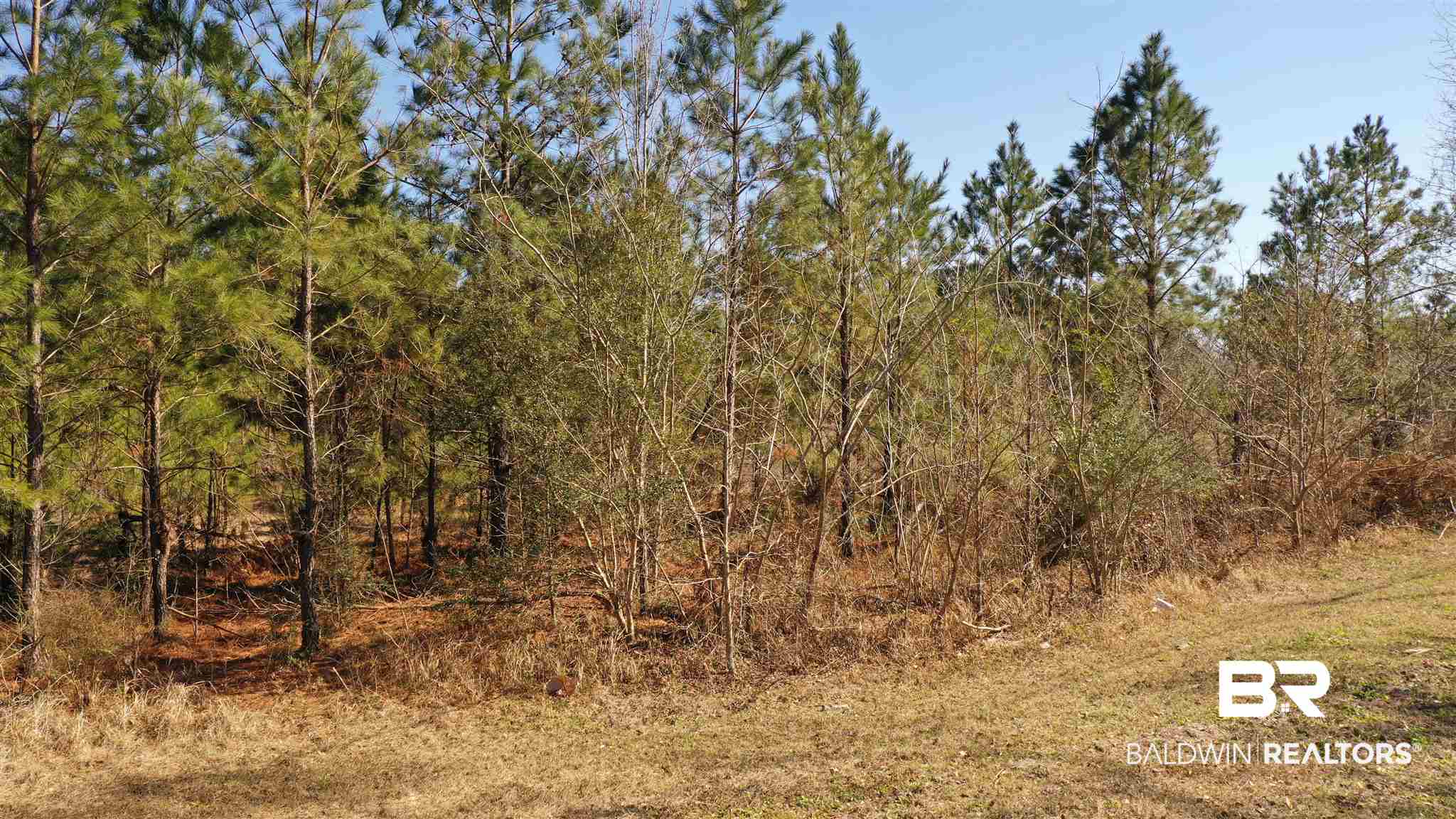 1 Moran Street Bay Minette, AL 36507 - Photo 15 of 18