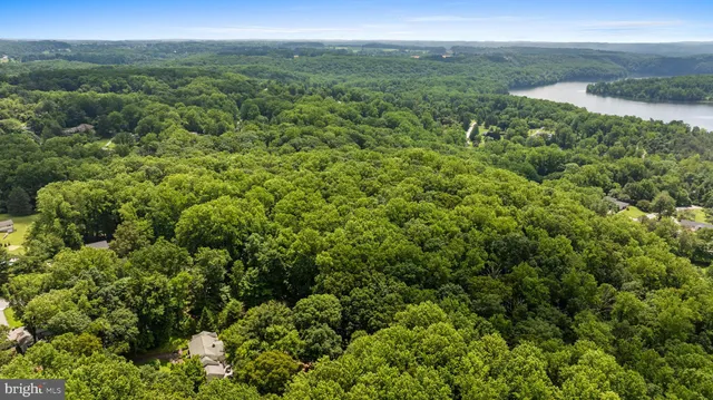 a view of a city with lush green forest
