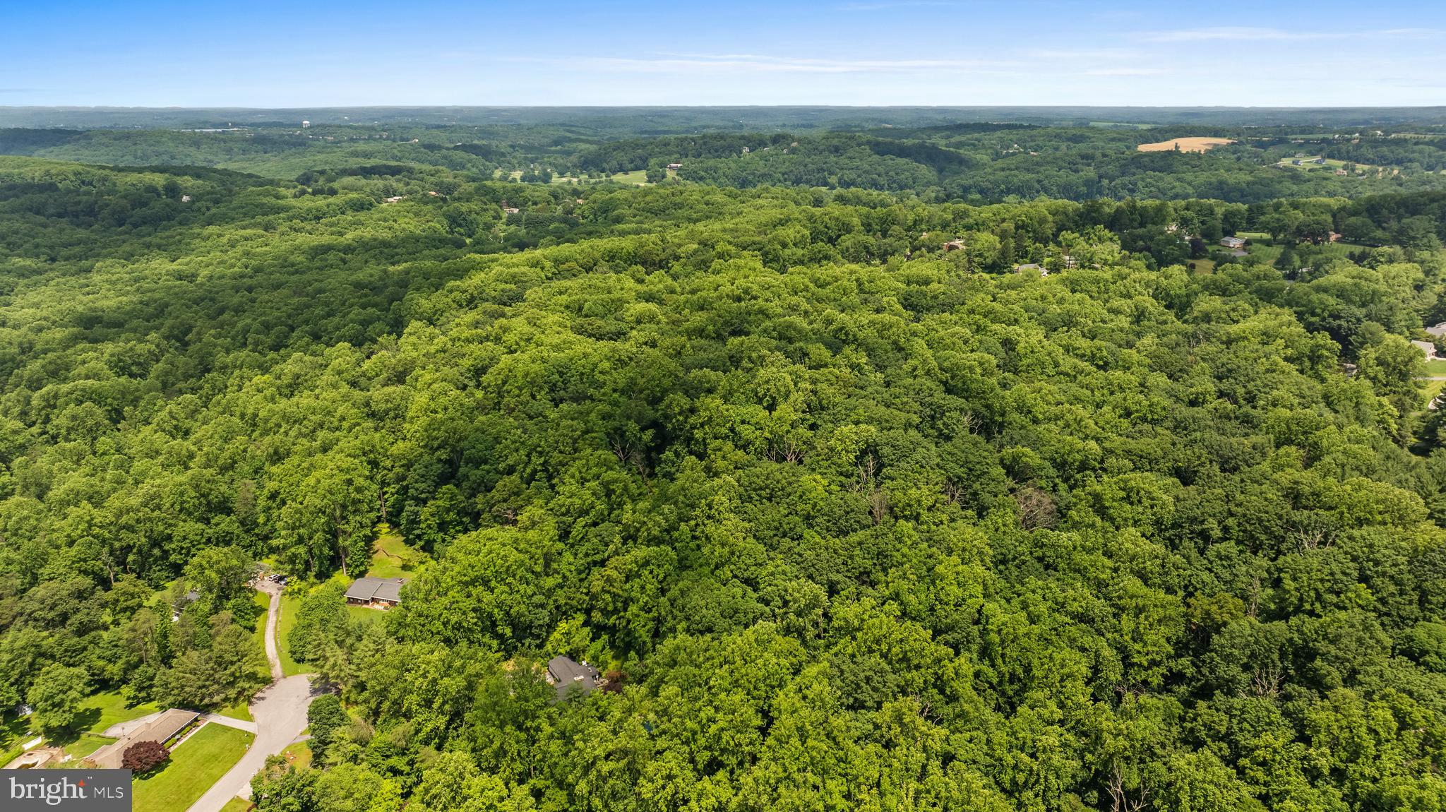 Bladon Road Phoenix, MD 21131 - Photo 4 of 5 a view of a city with lush green forest