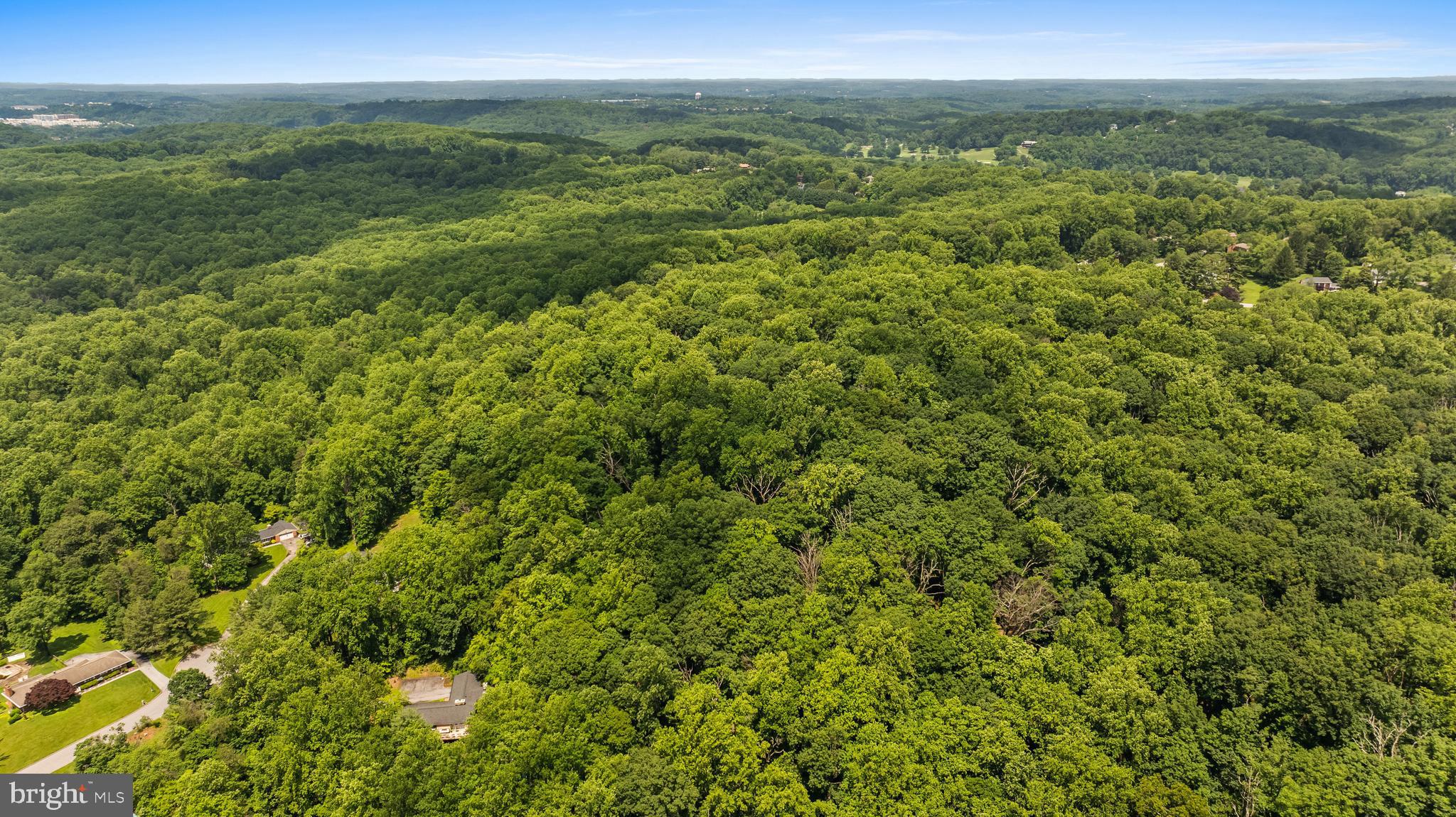 Bladon Road Phoenix, MD 21131 - Photo 5 of 5 a view of a lush green outdoor space with a lake view and mountain view