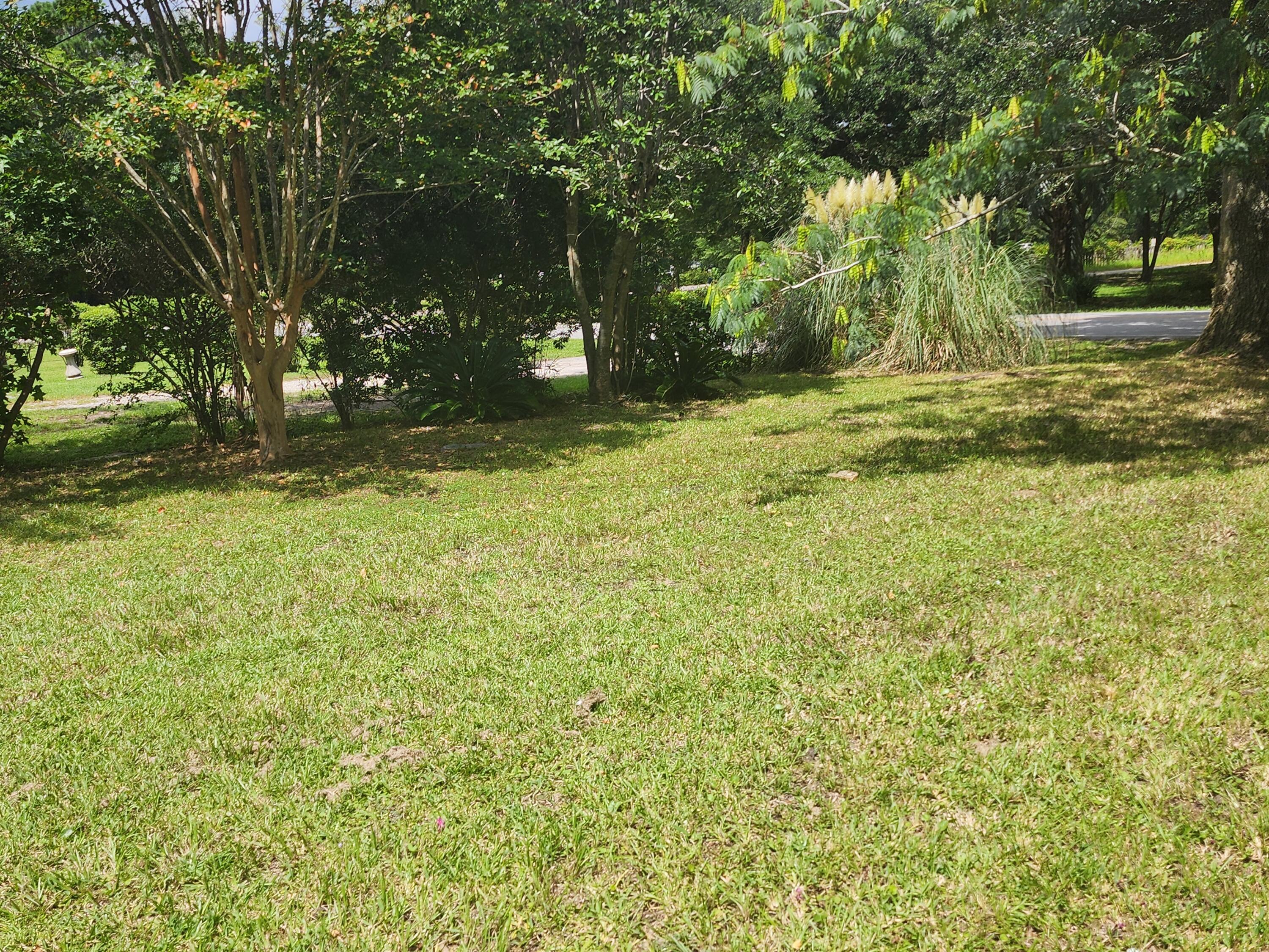 1132 Brownswood Road Johns Island, SC 29455 - Photo 5 of 6 20240815_151155