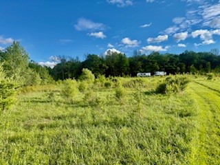 Ridgeview Road Norwich, NY 13815 - Photo 2 of 11